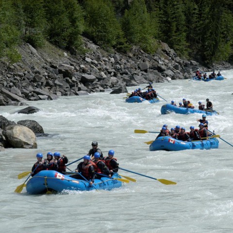 White Water Rafting Golden, BC | Wet N' Wild Adventures